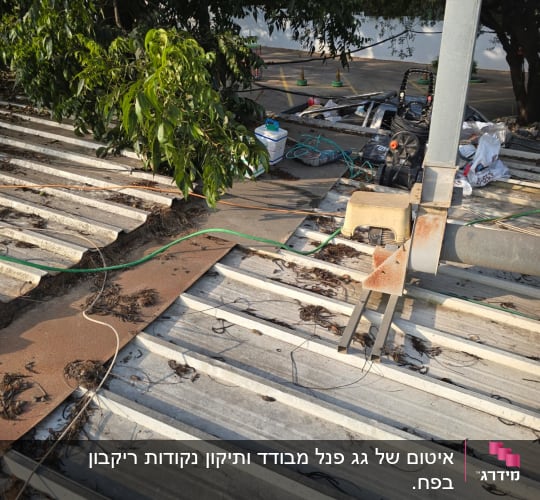 גג עם עלים וציוד איטום